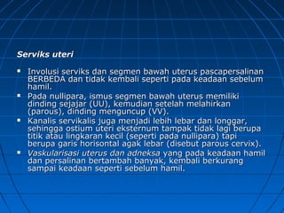 Serviks uteriServiks uteri
 Involusi serviks dan segmen bawah uterus pascapersalinanInvolusi serviks dan segmen bawah uterus pascapersalinan
BERBEDA dan tidak kembali seperti pada keadaan sebelumBERBEDA dan tidak kembali seperti pada keadaan sebelum
hamil.hamil.
 Pada nullipara, ismus segmen bawah uterus memilikiPada nullipara, ismus segmen bawah uterus memiliki
dinding sejajar (UU), kemudian setelah melahirkandinding sejajar (UU), kemudian setelah melahirkan
(parous), dinding menguncup (VV).(parous), dinding menguncup (VV).
 Kanalis servikalis juga menjadi lebih lebar dan longgar,Kanalis servikalis juga menjadi lebih lebar dan longgar,
sehingga ostium uteri eksternum tampak tidak lagi berupasehingga ostium uteri eksternum tampak tidak lagi berupa
titik atau lingkaran kecil (seperti pada nullipara) tapititik atau lingkaran kecil (seperti pada nullipara) tapi
berupa garis horisontal agak lebar (disebut parous cervix).berupa garis horisontal agak lebar (disebut parous cervix).
 Vaskularisasi uterus dan adneksaVaskularisasi uterus dan adneksa yang pada keadaan hamilyang pada keadaan hamil
dan persalinan bertambah banyak, kembali berkurangdan persalinan bertambah banyak, kembali berkurang
sampai keadaan seperti sebelum hamil.sampai keadaan seperti sebelum hamil.
 