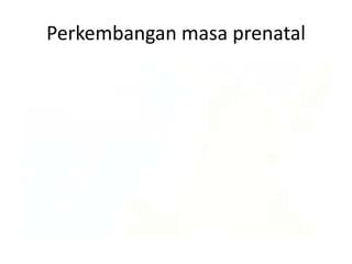 Perkembangan masa prenatal
 