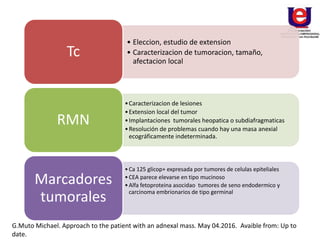 • Eleccion, estudio de extension
• Caracterizacion de tumoracion, tamaño,
afectacion local
Tc
•Caracterizacion de lesiones
•Extension local del tumor
•Implantaciones tumorales heopatica o subdiafragmaticas
•Resolución de problemas cuando hay una masa anexial
ecográficamente indeterminada.
RMN
•Ca 125 glicop+ expresada por tumores de celulas epiteliales
•CEA parece elevarse en tipo mucinoso
•Alfa fetoproteina asocidao tumores de seno endodermico y
carcinoma embrionarios de tipo germinal
Marcadores
tumorales
G.Muto Michael. Approach to the patient with an adnexal mass. May 04.2016. Avaible from: Up to
date.
 