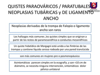QUISTES PARAOVÁRICOS / PARATUBALES Y
NEOPLASIAS TUBÁRICAS y DE LIGAMENTO
ANCHO
Neoplasias derivadas de la trompa de Falopio o ligamento
ancho son raros
Los hallazgos más comunes ,los quistes simples que se originan a
partir de los restos de paramesonéfrico o conductos mesonéfricos
Un quiste hidatídico de Morgagni está unido a las fimbrias de las
trompas y contiene líquido seroso rodeado por una pared translúcida
son más comunes en mujeres pre o posmenopáusica
Asintomáticos parecen simples en la ecografía, y son <10 cm de
diámetro, se necesita ninguna intervención, sintomáticos dolor
pélvico unilateral
 