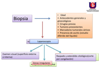 Biopsia
• Edad
• Antecedentes generales y
ginecológicos
• Cirugías previas
• Tumores preexistentes
• Marcadores tumorales séricos
• Presencia de ascitis (estudio
diferido del líquido)
Informe anatomopatologico
 Benigno - Maligno – Diferido
 Epitelial - no epitelial
 Sospecha de metástasis ovárica de
tumor primario
Macroscopia
soluciones de continuidad Micropapilas
Zonas irregulares
Laparoscopia
Raspado y extendido citológico(corte
por congelación)
Examen visual (superficie externa
e interna)
 