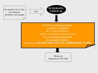 Sin mejoría a los 5 días,
con aumento
del dolor y del tamaño
SUH
ECOGRAFÍA
CERVICAL
Formación quística avascular,
ovalada ...