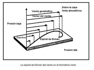La espiral de Ekman del viento en el hemisferio norte
 