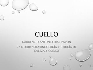 CUELLO
GAUDENCIO ANTONIO DIAZ PAVÓN
R2 OTORRINOLARINGOLOGÍA Y CIRUGÍA DE
CABEZA Y CUELLO
 