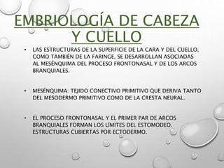 EMBRIOLOGÍA DE CABEZA
Y CUELLO
• LAS ESTRUCTURAS DE LA SUPERFICIE DE LA CARA Y DEL CUELLO,
COMO TAMBIÉN DE LA FARINGE, SE DESARROLLAN ASOCIADAS
AL MESÉNQUIMA DEL PROCESO FRONTONASAL Y DE LOS ARCOS
BRANQUIALES.
• MESÉNQUIMA: TEJIDO CONECTIVO PRIMITIVO QUE DERIVA TANTO
DEL MESODERMO PRIMITIVO COMO DE LA CRESTA NEURAL.
• EL PROCESO FRONTONASAL Y EL PRIMER PAR DE ARCOS
BRANQUIALES FORMAN LOS LÍMITES DEL ESTOMODEO.
ESTRUCTURAS CUBIERTAS POR ECTODERMO.
 