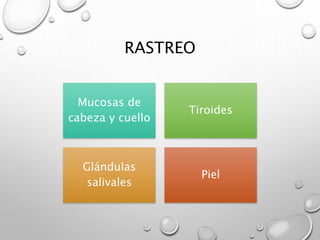 RASTREO
Mucosas de
cabeza y cuello
Tiroides
Glándulas
salivales
Piel
 
