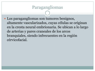Paragangliomas

 Los paragangliomas son tumores benignos,
 altamente vascularizados, cuyas células se originan
 en la cresta neural embrionaria. Se ubican a lo largo
 de arterias y pares craneales de los arcos
 branquiales, siendo infrecuentes en la región
 cérvicofacial.
 