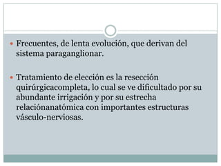  Frecuentes, de lenta evolución, que derivan del
 sistema paraganglionar.

 Tratamiento de elección es la resección
 quirúrgicacompleta, lo cual se ve dificultado por su
 abundante irrigación y por su estrecha
 relaciónanatómica con importantes estructuras
 vásculo-nerviosas.
 