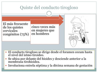 Quiste del conducto tirogloso


El más frecuente
de los quistes   cinco veces más
cervicales       en mujeres que
congénitos (75%) en hombres




  El conducto tirogloso se dirige desde el foramen cecum hasta
   el nivel del istmo tiroideo.
  Se ubica por delante del hioides y desciende anterior a la
   membrana tirohioidea.
  Involuciona entrela séptima y la décima semana de gestación
 