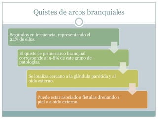 Quistes de arcos branquiales

Segundos en frecuencia, representando el
24% de ellos.


    El quiste de primer arco branquial
    corresponde al 5-8% de este grupo de
    patologías.


         Se localiza cercano a la glándula parótida y al
         oído externo.


              Puede estar asociado a fístulas drenando a
              piel o a oído externo.
 