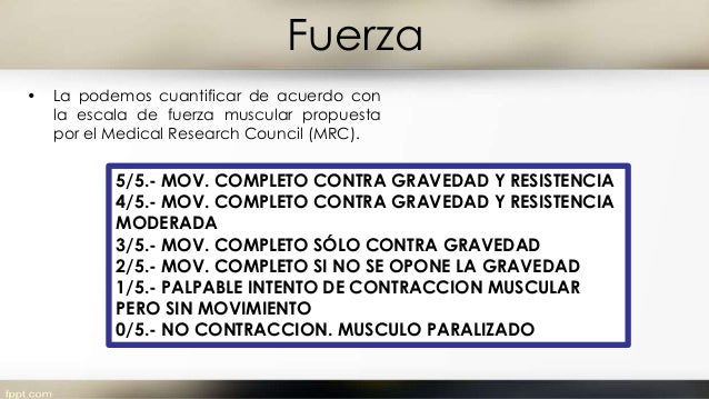 Escala De Fuerza Muscular