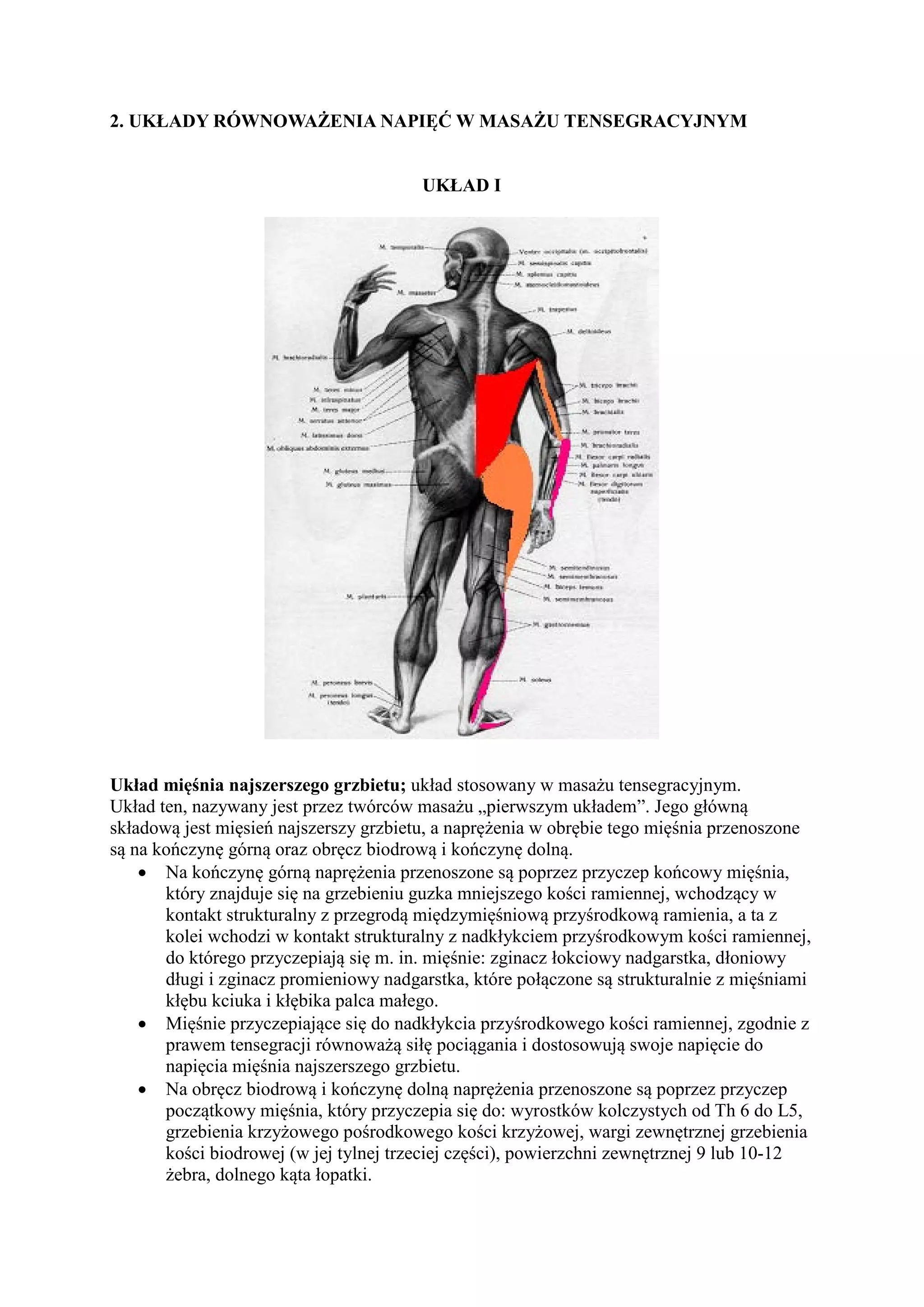 MASAŻ TENSEGRACYJNY PODSTAWY I UKŁADY.pdf | Physical Therapy | Wellness