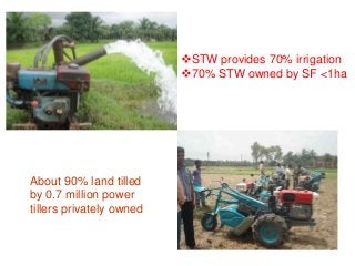 Agricultural Mechanization: Policy Lessons from Bangladesh