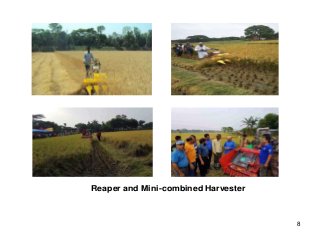 Agricultural Mechanization: Policy Lessons from Bangladesh