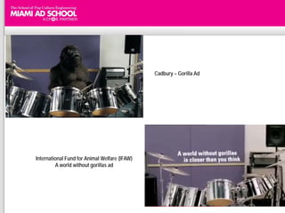 Cadbury – Gorilla Ad




International Fund for Animal Welfare (IFAW)
         A world without gorillas ad
 