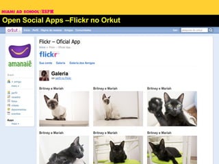 Open Social Apps –Flickr no Orkut 