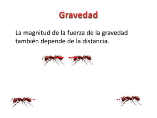 La magnitud de la fuerza de la gravedad
también depende de la distancia.
 