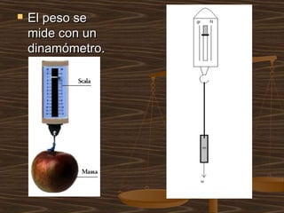    El peso se
    mide con un
    dinamómetro.
 