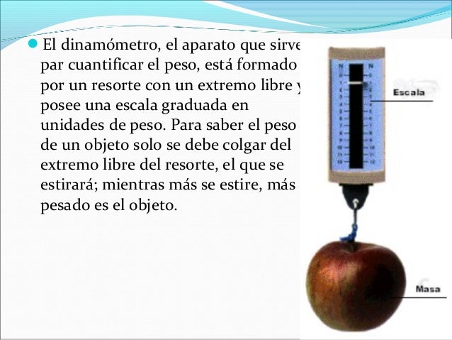 Masa y peso fisca