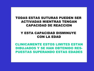 TODAS ESTAS SUTURAS PUEDEN SER  ACTIVADAS MIENTRAS TENGAN CAPACIDAD DE REACCION Y ESTA CAPACIDAD DISMINUYE  CON LA EDAD CLINICAMENTE ESTOS LIMITES ESTAN DIBUJADOS Y SE HAN OBTENIDO RES- PUESTAS SUPERANDO ESTAS EDADES 