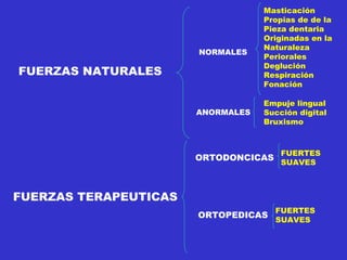 FUERZAS NATURALES FUERZAS TERAPEUTICAS NORMALES ANORMALES Masticación Propias de de la Pieza dentaria Originadas en la Naturaleza Periorales Deglución Respiración Fonación Empuje lingual Succión digital Bruxismo ORTODONCICAS ORTOPEDICAS FUERTES SUAVES FUERTES SUAVES 