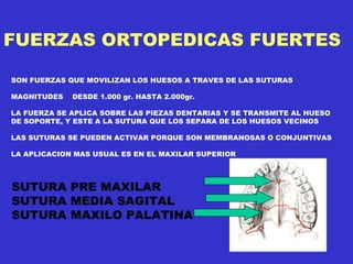 FUERZAS ORTOPEDICAS FUERTES SON FUERZAS QUE MOVILIZAN LOS HUESOS A TRAVES DE LAS SUTURAS MAGNITUDES  DESDE 1.000 gr. HASTA 2.000gr. LA FUERZA SE APLICA SOBRE LAS PIEZAS DENTARIAS Y SE TRANSMITE AL HUESO DE SOPORTE, Y ESTE A LA SUTURA QUE LOS SEPARA DE LOS HUESOS VECINOS LAS SUTURAS SE PUEDEN ACTIVAR PORQUE SON MEMBRANOSAS O CONJUNTIVAS LA APLICACION MAS USUAL ES EN EL MAXILAR SUPERIOR SUTURA PRE MAXILAR SUTURA MEDIA SAGITAL SUTURA MAXILO PALATINA 