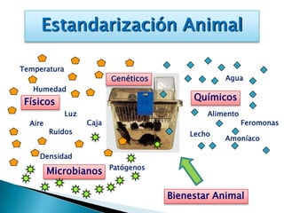 Estandarización Animal

Temperatura
                           Genéticos               Agua
   Humedad
 Físicos                                    Químicos
              Luz                              Alimento
  Aire              Caja                                  Feromonas
         Ruidos                            Lecho
                                                   Amoníaco

    Densidad
                           Patógenos
         Microbianos

                                       Bienestar Animal
 