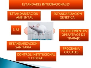 ESTANDARES INTERNACIONALES


ESTANDARIZACION          ESTANDARIZACION
   AMBIENTAL                 GENETICA



 3 RS         BUENOS
            RESULTADOS       PROCEDIMIENTOS
                              OPERATIVOS DE
                                 TRABAJO
ESTANDARIZACION
   SANITARIA                  PROGRAMA
                               CICUALES
    CONTROL INSTITUCIONAL
         Y FEDERAL
 