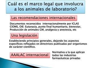 Las recomendaciones internacionales
Documentos reconocidos internacionalmente por ICLAS
CIOMS, OIE: Eutanasia, punto final humanitario, bienestar,
Producción de animales GM, analgesia y anestesia, etc

 Una legislación
Estableciendo principios generales, dejando los aspectos
específicos reflejados en directrices publicadas por organismos
de carácter científico.

                                  Normativa a la que aplican
 AAALAC internacional             todas las industrias
                                  farmacéuticas privadas
 