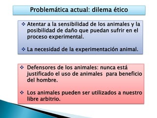 Problemática actual: dilema ético

 Atentar a la sensibilidad de los animales y la
  posibilidad de daño que puedan sufrir en el
  proceso experimental.

 La necesidad de la experimentación animal.


 Defensores de los animales: nunca está
  justificado el uso de animales para beneficio
  del hombre.

 Los animales pueden ser utilizados a nuestro
  libre arbitrio.
 