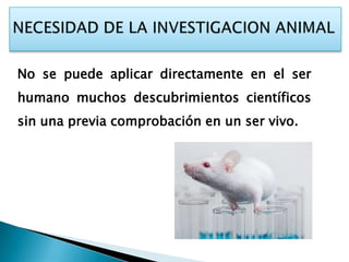 No se puede aplicar directamente en el ser
humano muchos descubrimientos científicos
sin una previa comprobación en un ser vivo.
 