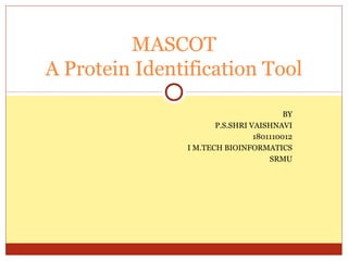 MASCOT
A Protein Identification Tool

                                         BY
                       P.S.SHRI VAISHNAVI
                                 1801110012
                I M.TECH BIOINFORMATICS
                                     SRMU
 