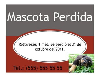 Mascota Perdida

   Rottweiler, 1 mes. Se perdió el 31 de
            octubre del 2011.




 Tel.: (555) 555 55 55
 
