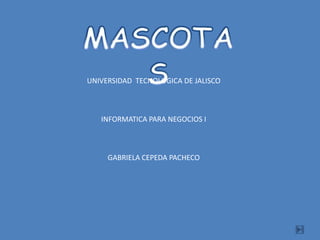 MASCOTAS UNIVERSIDAD  TECNOLOGICA DE JALISCO INFORMATICA PARA NEGOCIOS I GABRIELA CEPEDA PACHECO 