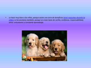 •

Le hace muy bien a los niños, porque existe una serie de beneficios tener mascotas durante la
niñez y a los ancianos también, porque se crean lazos de cariño, confianza, responsabilidad,
amor, entusiasmo y constante aprendizaje.

 