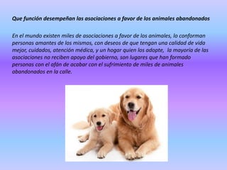 Que función desempeñan las asociaciones a favor de los animales abandonados
En el mundo existen miles de asociaciones a favor de los animales, lo conforman
personas amantes de los mismos, con deseos de que tengan una calidad de vida
mejor, cuidados, atención médica, y un hogar quien los adopte, la mayoría de las
asociaciones no reciben apoyo del gobierno, son lugares que han formado
personas con el afán de acabar con el sufrimiento de miles de animales
abandonados en la calle.

 