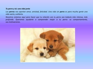 Tu perro y tú: una vida junta
Los perros nos aportan amor, amistad, felicidad. Una vida sin perro es para mucha gente una
vida vacía y solitaria.
Nosotros estamos aquí para hacer que tu relación con tu perro sea todavía más intensa, más
profunda. Queremos ayudarte a comprender mejor a tu perro: su comportamiento,
sus motivaciones.

 