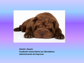 Gineth L Duarte
Fundación Universitaria Los Libertadores
Administración de Empresas

 