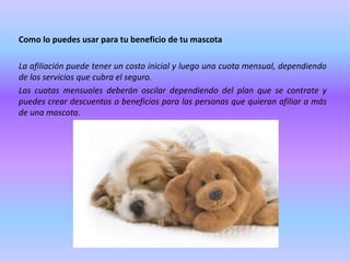Como lo puedes usar para tu beneficio de tu mascota

La afiliación puede tener un costo inicial y luego una cuota mensual, dependiendo
de los servicios que cubra el seguro.
Las cuotas mensuales deberán oscilar dependiendo del plan que se contrate y
puedes crear descuentos o beneficios para las personas que quieran afiliar a más
de una mascota.

 