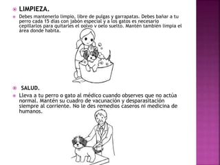  LIMPIEZA.
 Debes mantenerlo limpio, libre de pulgas y garrapatas. Debes bañar a tu
perro cada 15 días con jabón especial y a los gatos es necesario
cepillarlos para quitarles el polvo y pelo suelto. Mantén también limpia el
área donde habita.
 SALUD.
 Lleva a tu perro o gato al médico cuando observes que no actúa
normal. Mantén su cuadro de vacunación y desparasitación
siempre al corriente. No le des remedios caseros ni medicina de
humanos.
 