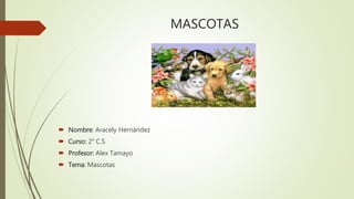 MASCOTAS
 Nombre: Aracely Hernández
 Curso: 2° C.S
 Profesor: Alex Tamayo
 Tema: Mascotas
 