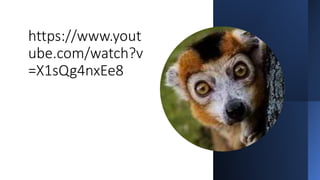 https://www.yout
ube.com/watch?v
=X1sQg4nxEe8
 