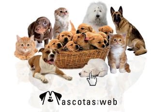 Mascotas En La Web