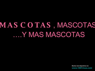 MASCOTAS , MASCOTAS  … .Y MAS MASCOTAS Muchas más diapositivas en: www .1001risas. com 