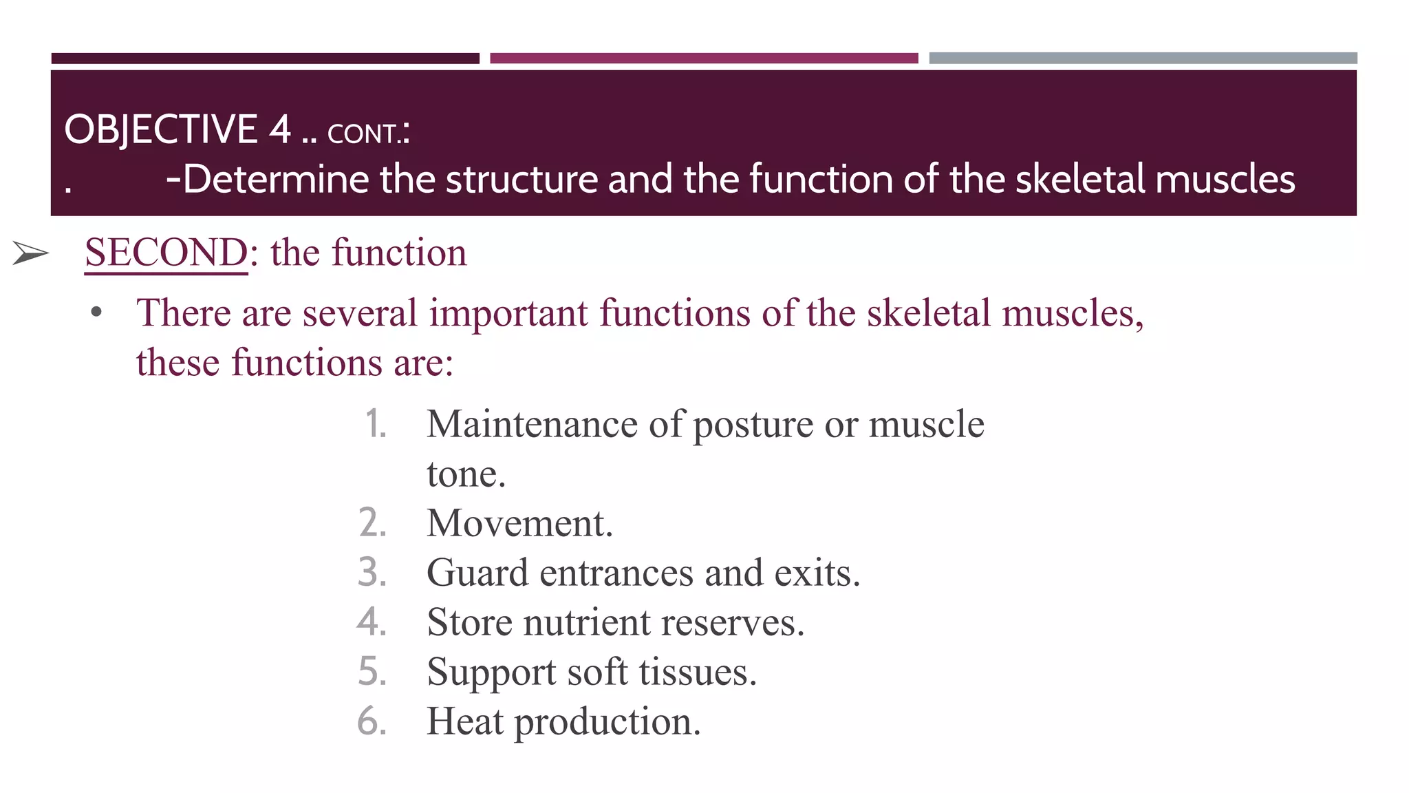 OBJECTIVE 4 .. CONT.:
. -Determine the structure and the function of the skeletal muscles
• There are several important functions of the skeletal muscles,
these functions are:
1. Maintenance of posture or muscle
tone.
2. Movement.
3. Guard entrances and exits.
4. Store nutrient reserves.
5. Support soft tissues.
6. Heat production.
➢ SECOND: the function
 