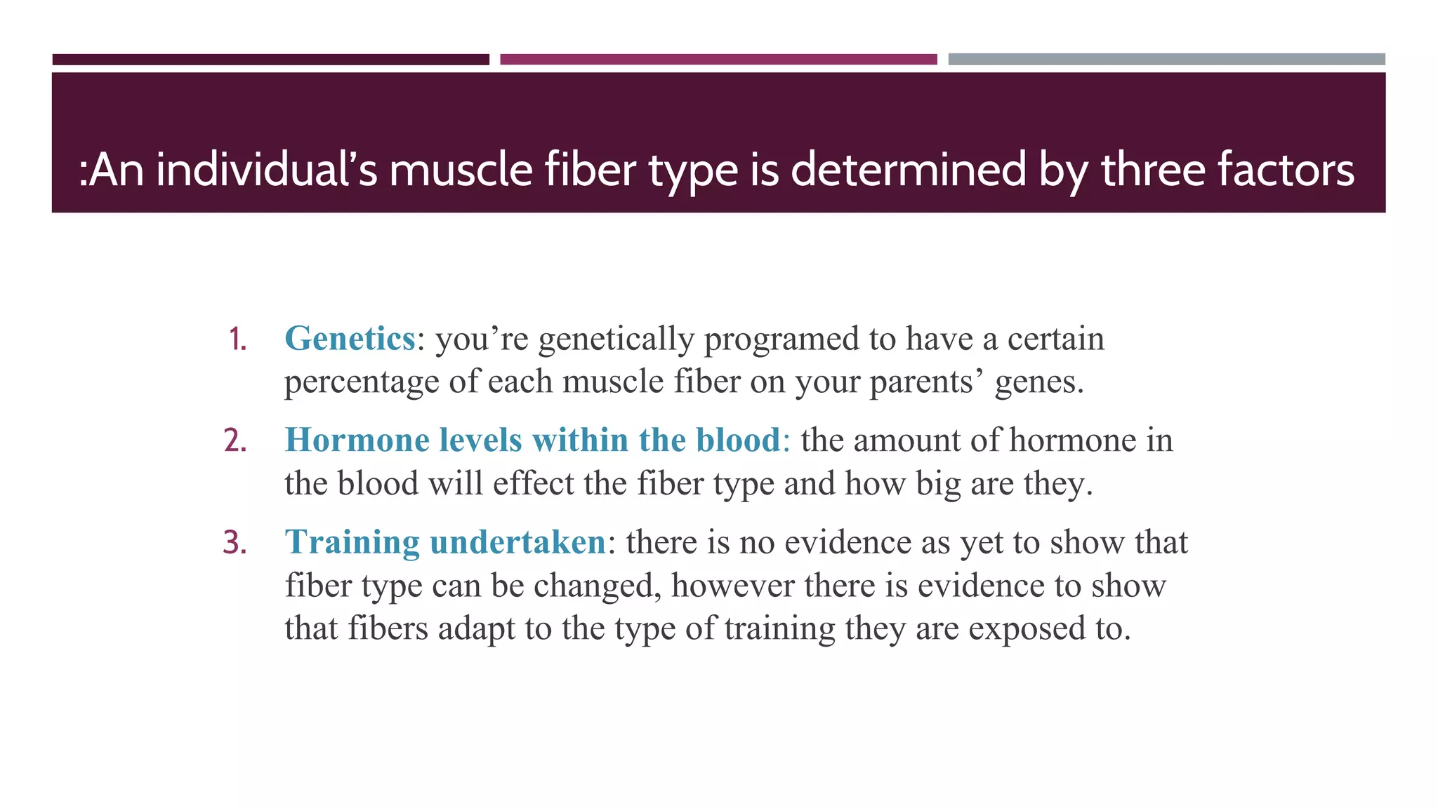 :An individual’s muscle fiber type is determined by three factors
1. Genetics: you’re genetically programed to have a certain
percentage of each muscle fiber on your parents’ genes.
2. Hormone levels within the blood: the amount of hormone in
the blood will effect the fiber type and how big are they.
3. Training undertaken: there is no evidence as yet to show that
fiber type can be changed, however there is evidence to show
that fibers adapt to the type of training they are exposed to.
 