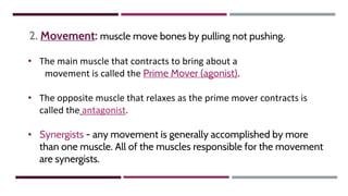 2. Movement: muscle move bones by pulling not pushing.
• The main muscle that contracts to bring about a
movement is called the Prime Mover (agonist).
• The opposite muscle that relaxes as the prime mover contracts is
called the antagonist.
• Synergists - any movement is generally accomplished by more
than one muscle. All of the muscles responsible for the movement
are synergists.
 