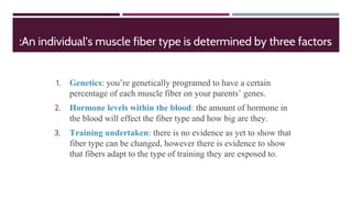 :An individual’s muscle fiber type is determined by three factors
1. Genetics: you’re genetically programed to have a certain
percentage of each muscle fiber on your parents’ genes.
2. Hormone levels within the blood: the amount of hormone in
the blood will effect the fiber type and how big are they.
3. Training undertaken: there is no evidence as yet to show that
fiber type can be changed, however there is evidence to show
that fibers adapt to the type of training they are exposed to.
 