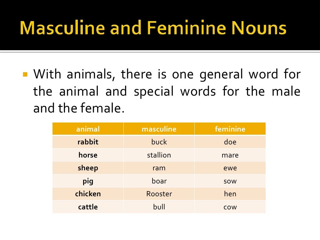 Masculine and feminine nouns