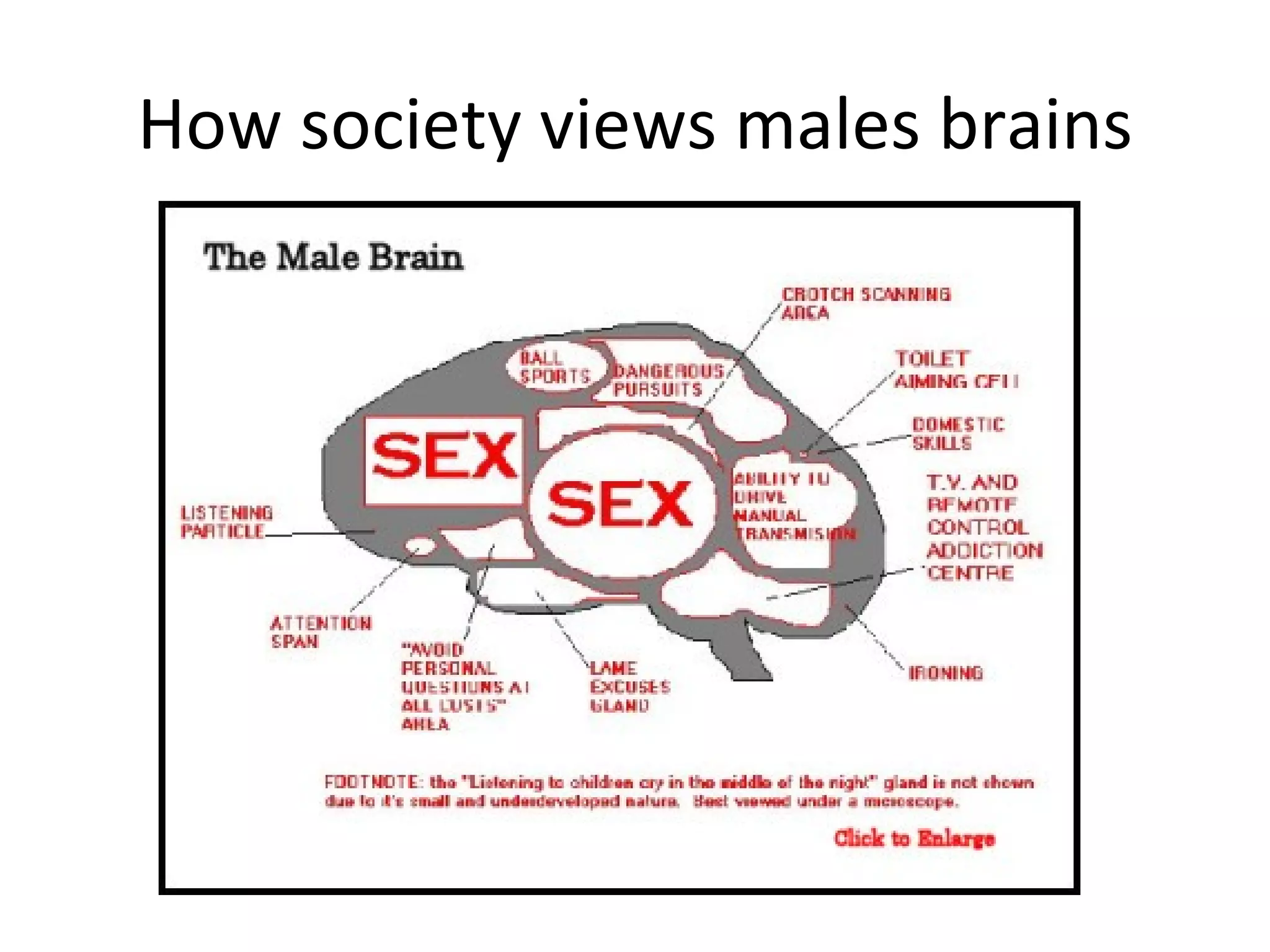 How society views males brains 